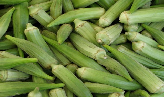 Okra